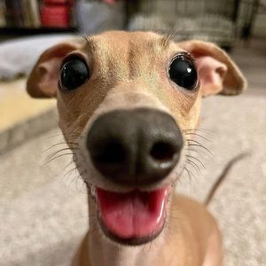 Meet your Posher, Bryan